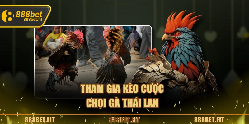 Tham gia kèo cược chọi gà Thái Lan