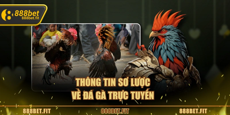Thông tin sơ lược về đá gà trực tuyến